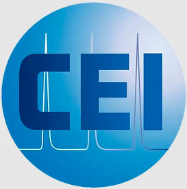 CE Instruments
